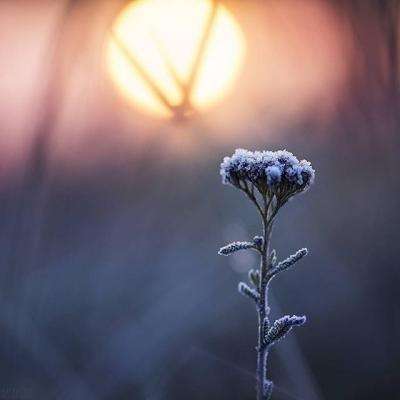 澳门新葡萄新京8883app下载截图